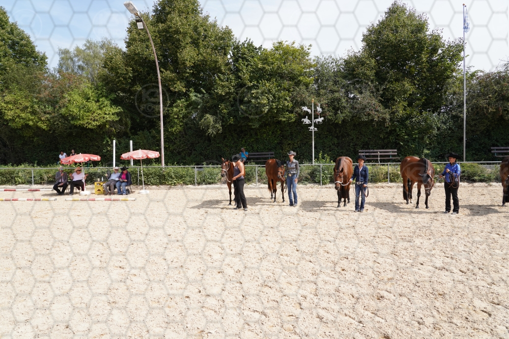 s_A7_01725.jpg